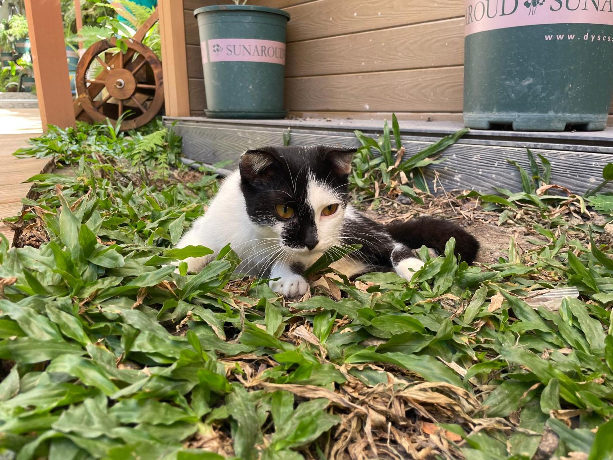 La Garden Homestay Long Xuyên エクステリア 写真