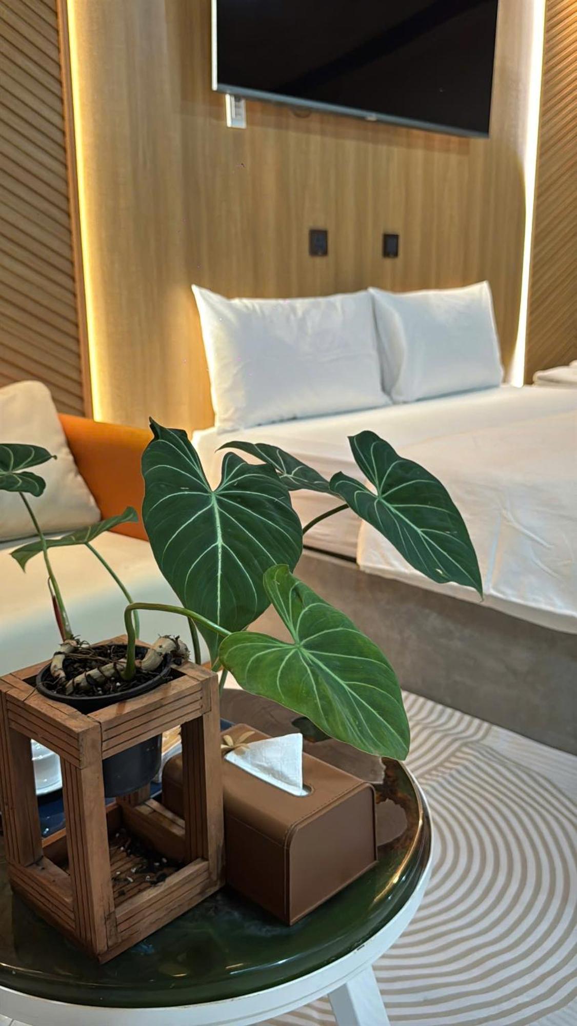 La Garden Homestay Long Xuyên エクステリア 写真
