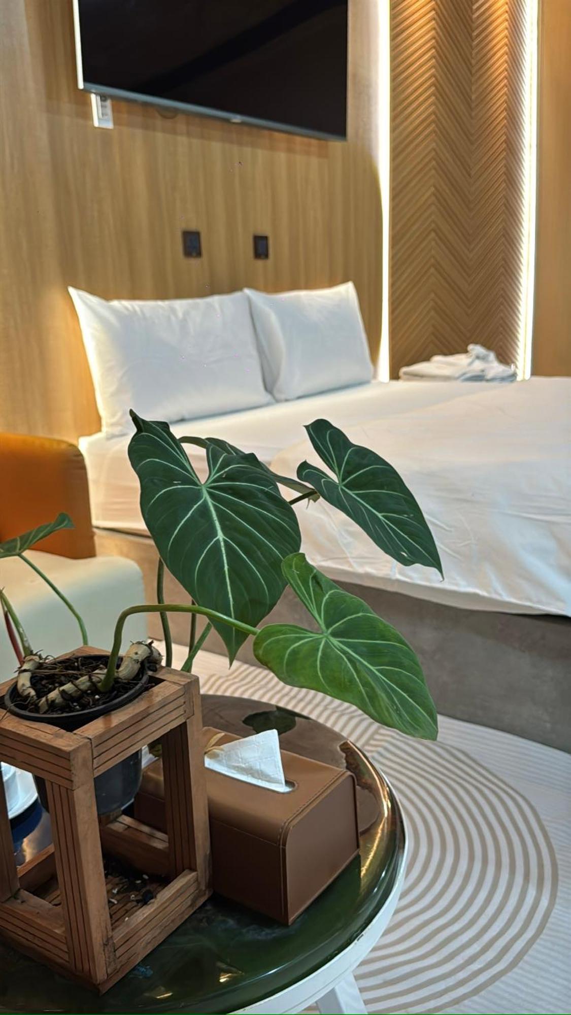 La Garden Homestay Long Xuyên エクステリア 写真